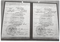 миниатюра сертификата